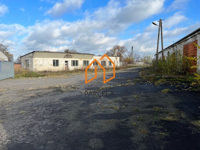 bieganowo-5