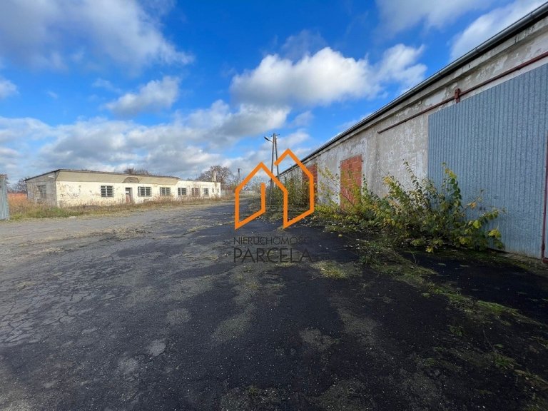 bieganowo-7