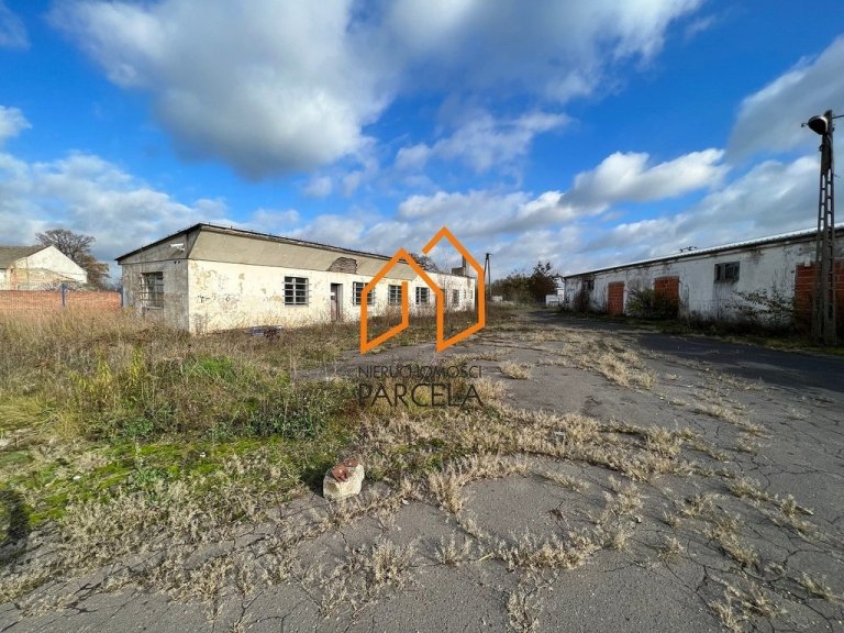bieganowo-0