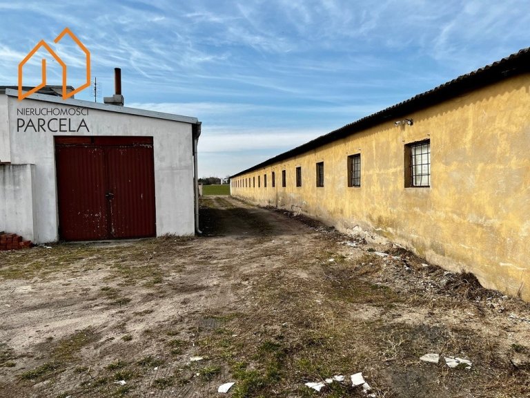 bierzglinek-0