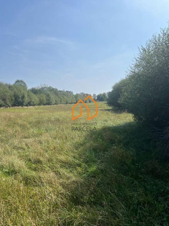 konarskie-2