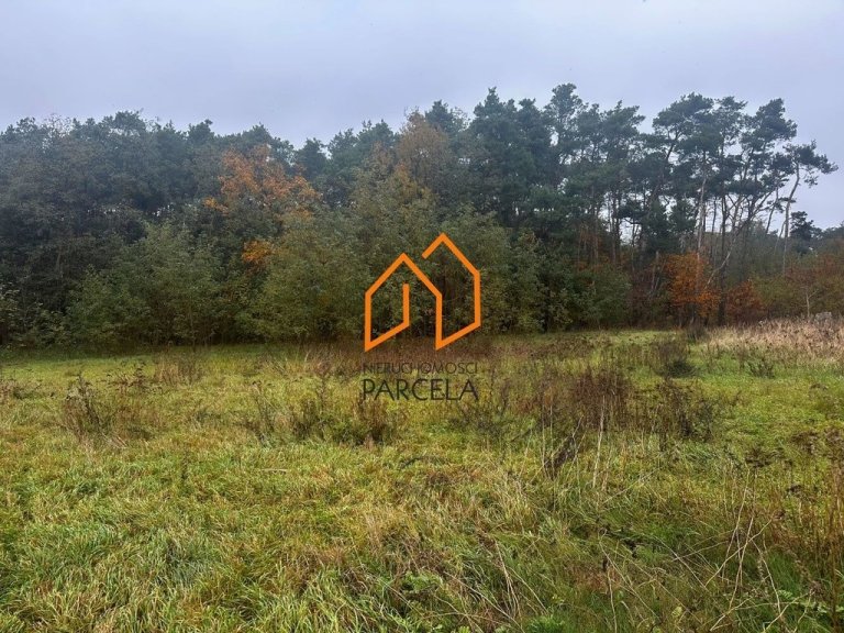 dzialka-krzykosy-1