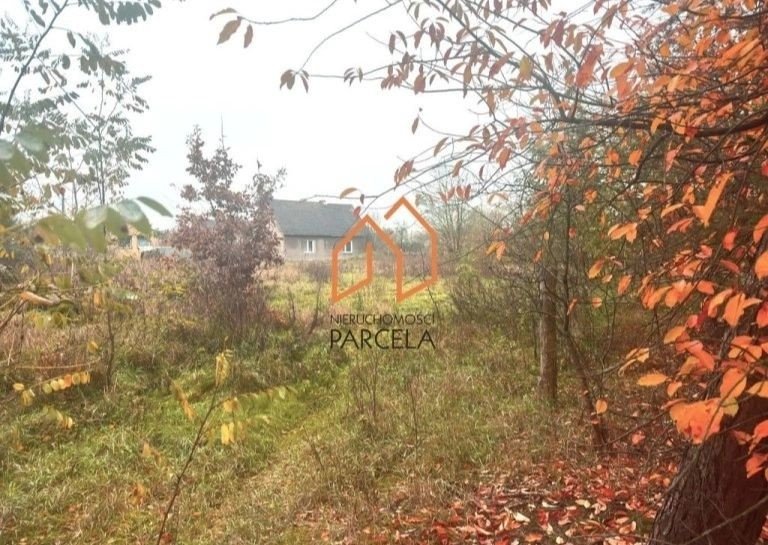 krzykosy