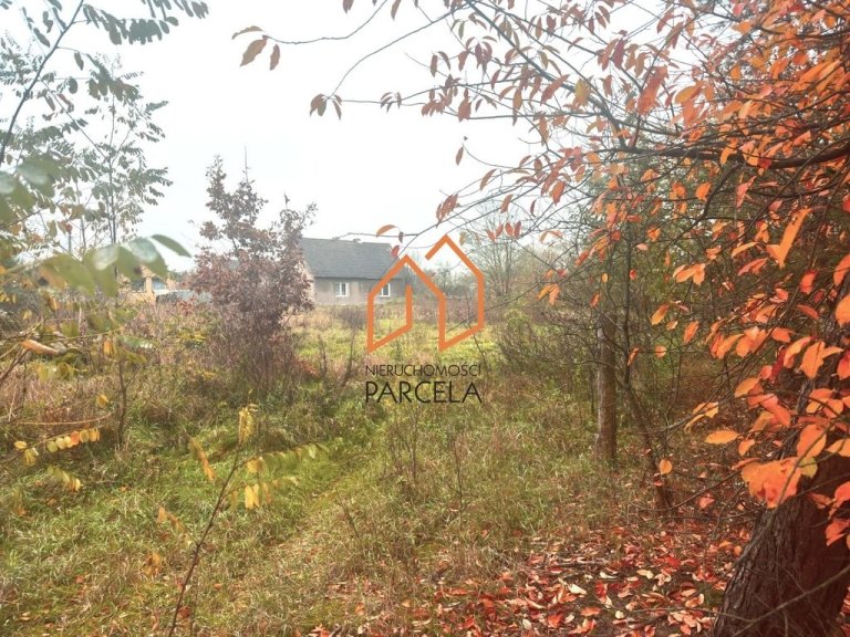 dzialka-krzykosy-0