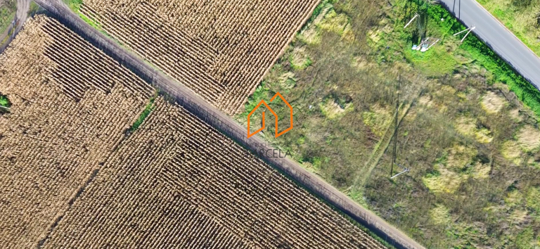 Zrzut ekranu 2025-10-29 134737