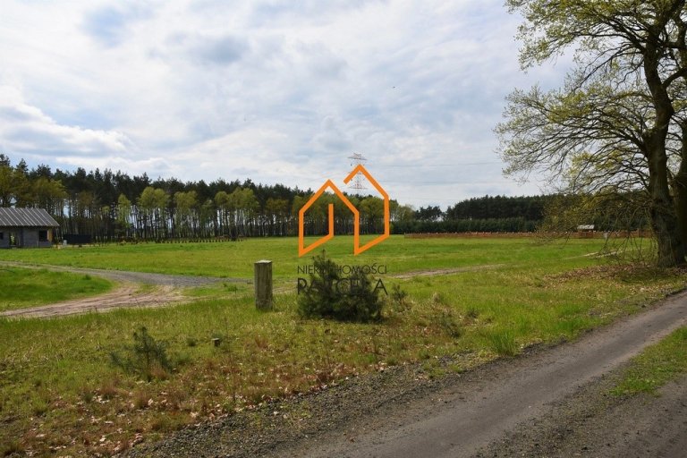 dzialka-mlodzikowko-12