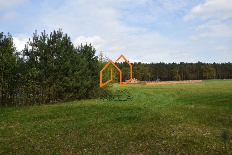 dzialka-mlodzikowko-7