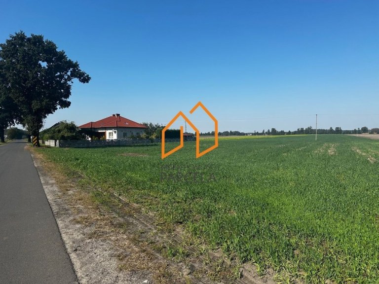 dzialka-murzynowiec-lesny-3