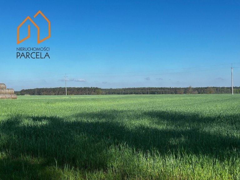 dzialka-nieslabin-2-1