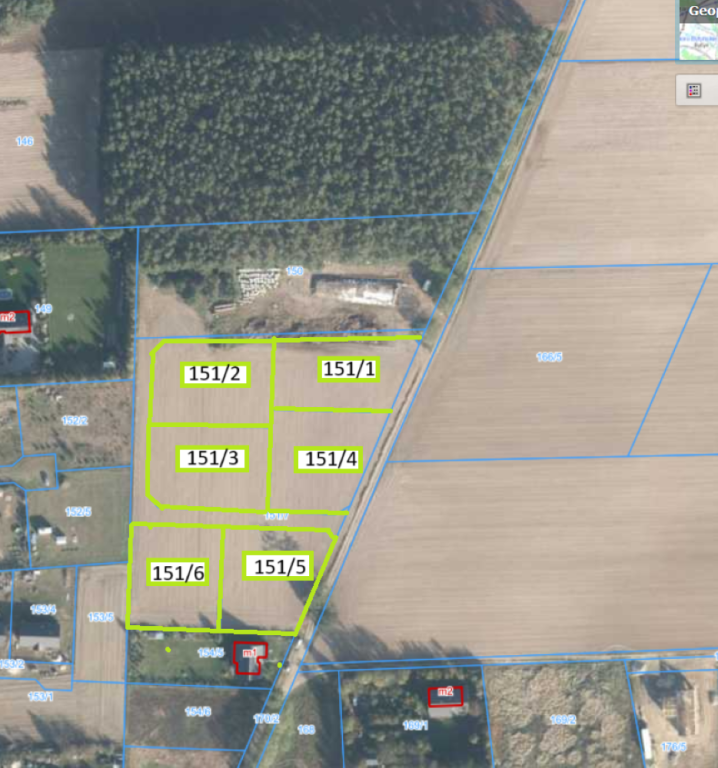 niesłabin krzysztof