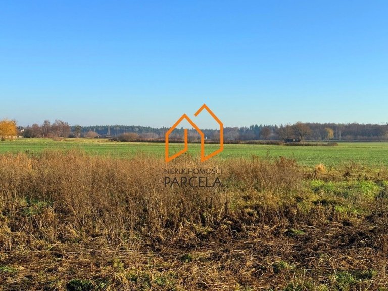 dzialka-nowe-miasto-0