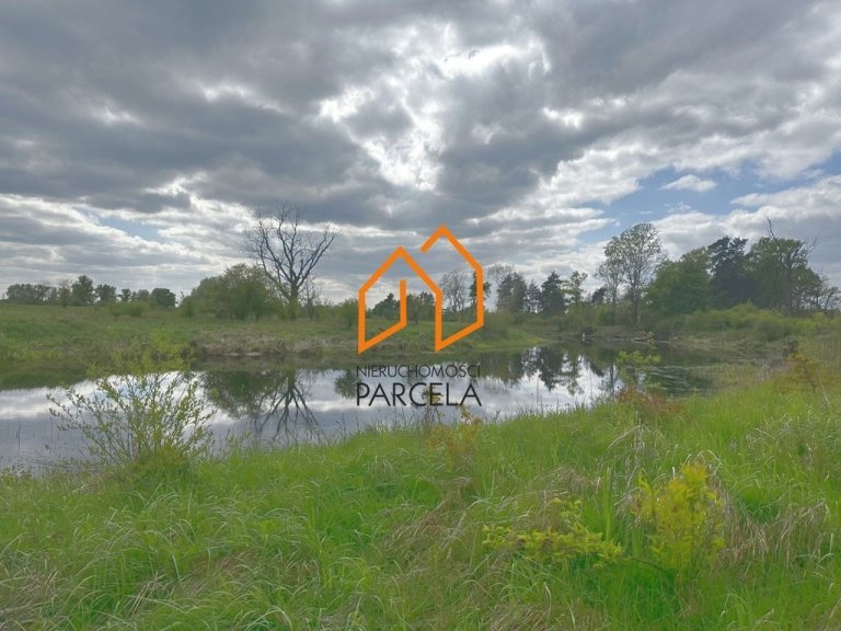 dzialka-potachy-2