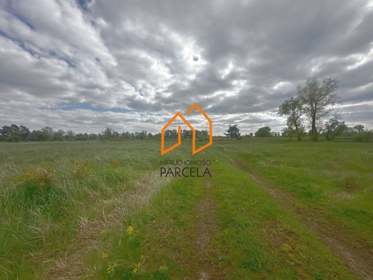 dzialka-potachy-3