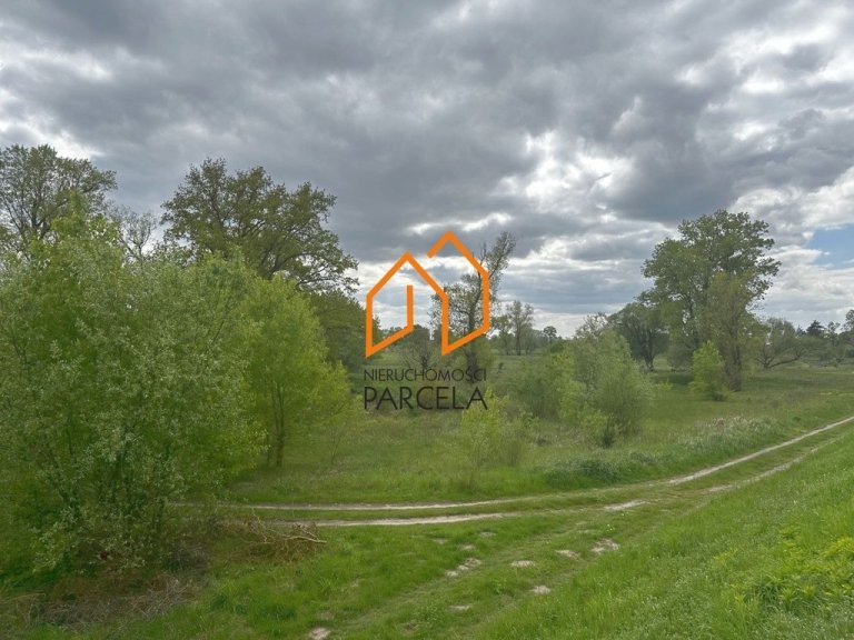 dzialka-potachy-1