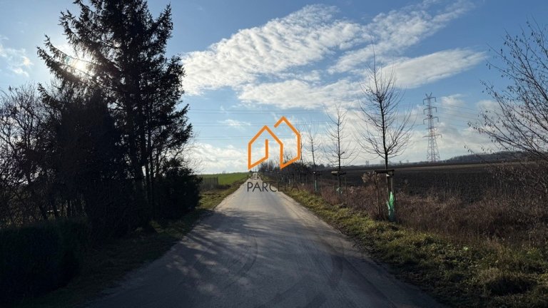 dzialka-runowo-5