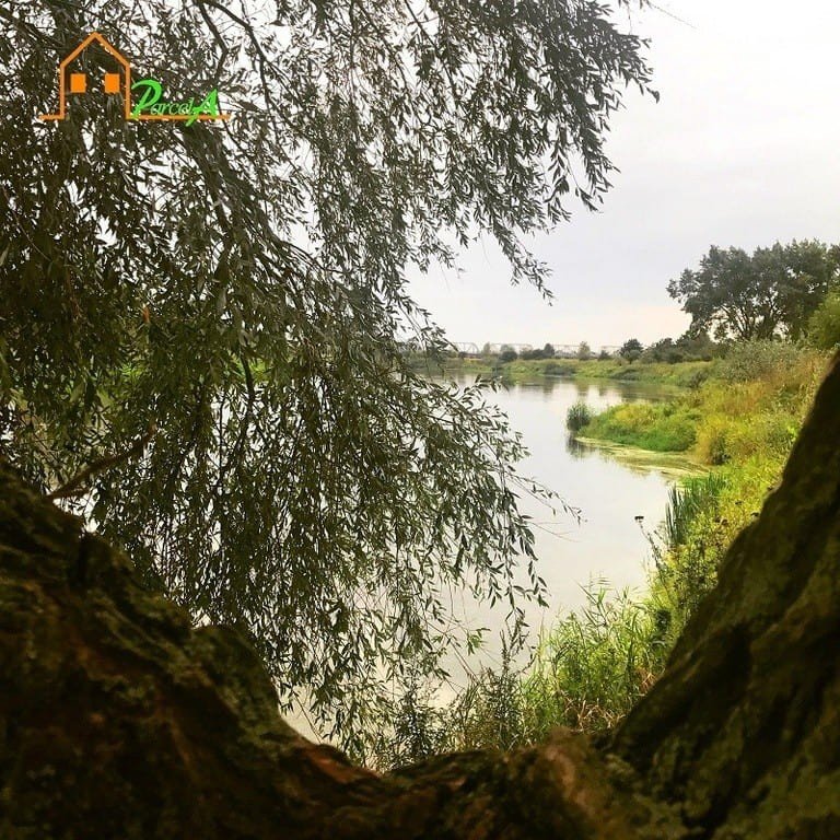 dzialka-solec-6