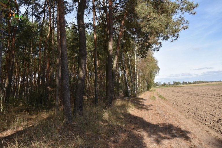 zaniemysl-4