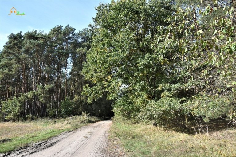 zaniemysl-5